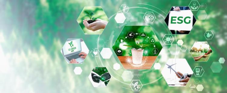 Teknologi Terkini dalam Pengelolaan Limbah dan Energi Terbarukan