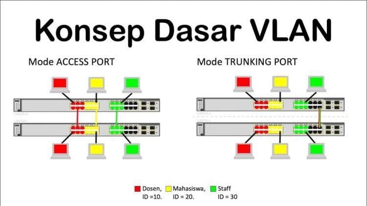 Teknologi Jaringan VLAN Konsep Dasar yang Wajib Dipahami