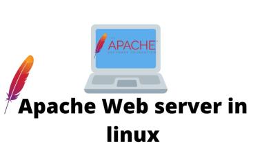 Panduan Lengkap Cara Menginstal Web Server Apache di Windows dan Linux