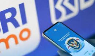 BRImo Jadi Pilihan Utama Generasi Muda, Tembus 42,7 Juta Pengguna Aktif di 2025
