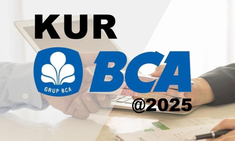 UMKM Pemula Kini Bisa Dapat Modal Usaha Rp50 Juta Tanpa Agunan Lewat KUR BCA 2025, Begini Caranya
